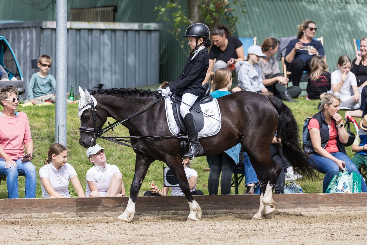 Bild 179 - Pony Akademie Turnier